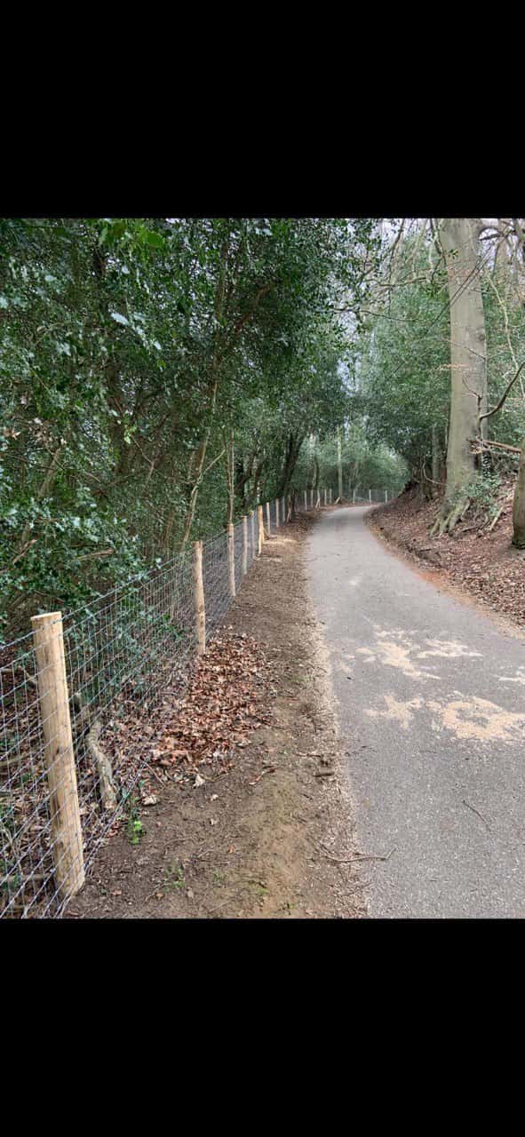 This is a photo of stock fencing installed along the side of a country road. By Fast Fix Fencing Cottenham